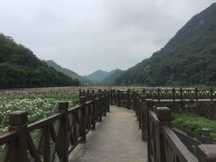-广州市石门国家森林公园