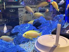 -黄鱼炙夜·烧烤·小龙虾(星荟广场店)