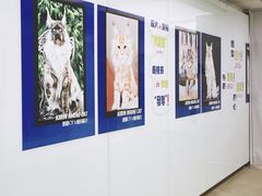 -十年猫舍·猫咪专门店(普陀店)
