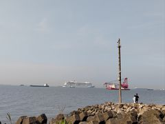 -上海滨江森林公园