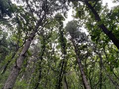 -沈阳辉山风景区