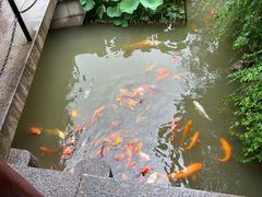 -檀园