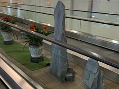 -上海浦东国际机场-T2航站楼