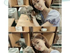 -more than meow吴止猫主题餐厅(承德 中船汇店)