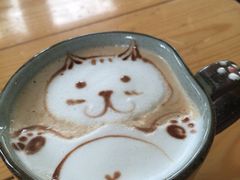 海边的猫和咖啡馆-海边的猫和咖啡馆