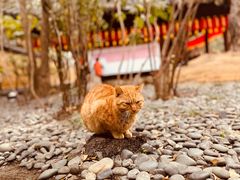 -龙华寺