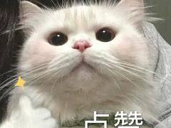 -超鹿运动(大唐世家店)