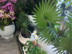 -徽州月·民间徽菜(浦东总店)