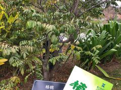 -厦门悦华酒店