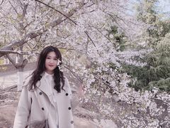 -樱花山风景区