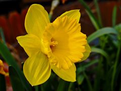 -国家植物园南园