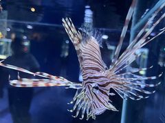 -海合安天津极地海洋公园