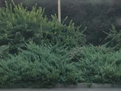 -中国宋庆龄青少年科技文化交流中心