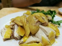 白切湛江鸡-瑞记湛江鸡饭店·粤西第一鸡(粤垦店)