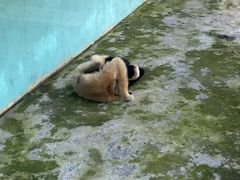 -宁波野生动物园