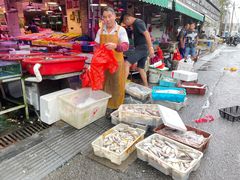 -芦潮港集贸市场