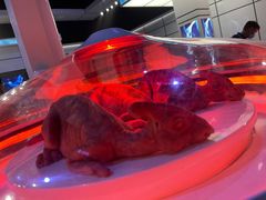 -侏罗纪世界电影特展(广州站)