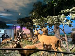 -国家自然博物馆