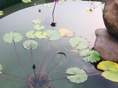 -十九路军淞沪抗日阵亡将士陵园