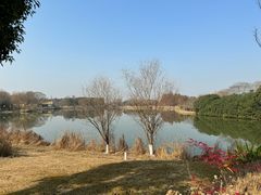 -苏州太湖国家湿地公园