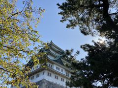 -名古屋城