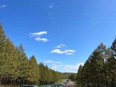 -塞罕坝国家级自然保护区