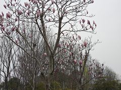 -南湖湿地公园