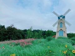 -铁山坪森林公园