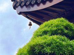 -西林禅寺
