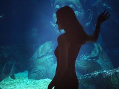 -暹罗海洋世界