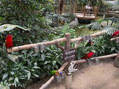 -南宫五洲植物乐园