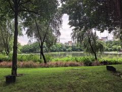 -映月湖公园