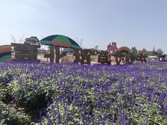-嘉北郊野公园