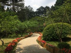 -庐山风景区花径公园
