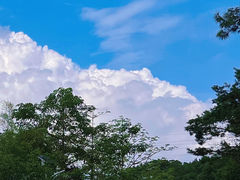 -仙岳公园
