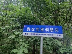 -同里国家湿地公园