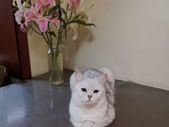 -心仪动物医院·牙专科·肿瘤·心脏科(西客站院)
