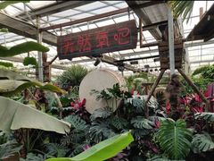 -呀路古热带植物园