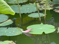 -西南交通大学(九里校区)