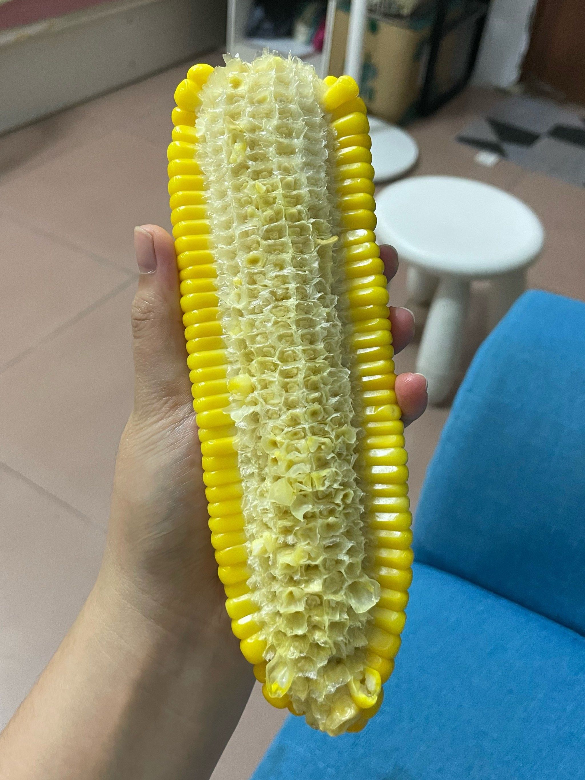 把玉米啃成了妈见打的样子