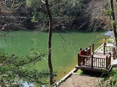 -青龙山国家森林公园