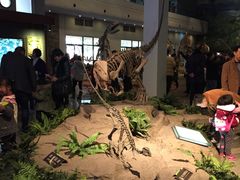 -自贡恐龙博物馆