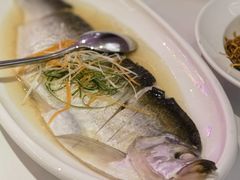 鸡汁大白鱼-翠香阁潮州菜馆·始于1994(珠江路店)