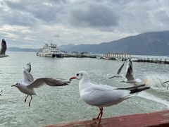 -昆明洲际酒店