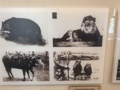 -北京动物园-畅观楼