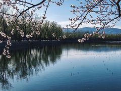 -颐和园
