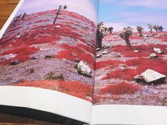 -MUJI无印良品(金狮广场店)