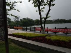 -上海长兴岛郊野公园