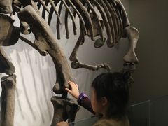 -自贡恐龙博物馆