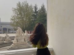 -洛阳郁金香牡丹园